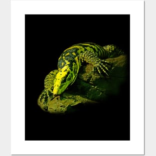 Varanus Posters and Art